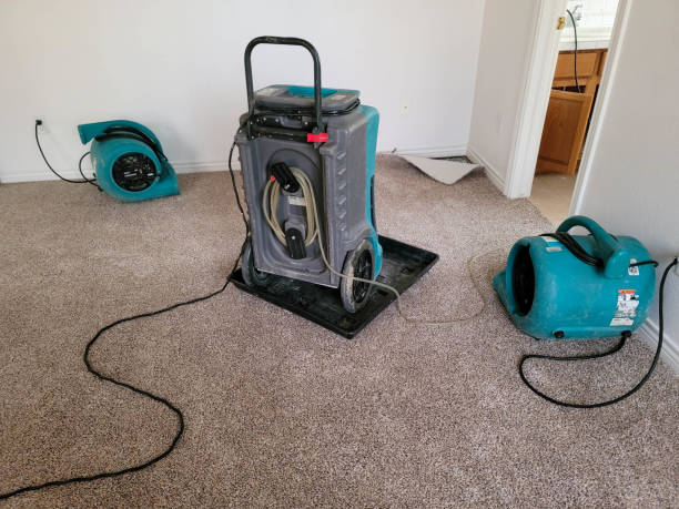 Best Fire Damage Restoration  in Colma, CA