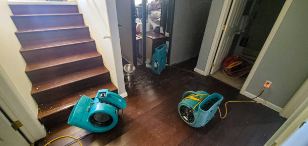  Colma, CA Water damage restoration Pros