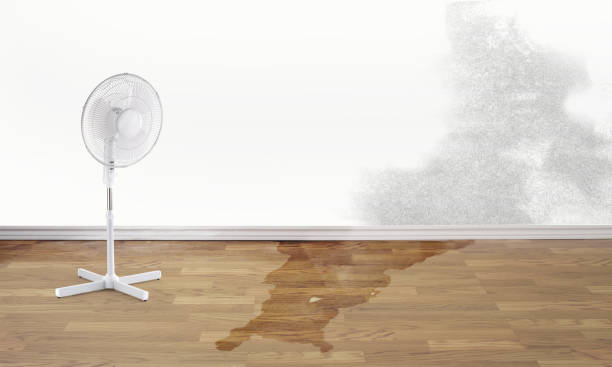 Best Fire Damage Restoration  in Colma, CA