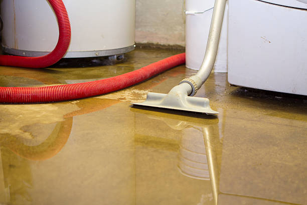 Water damage restoration mold remediation in Colma, CA